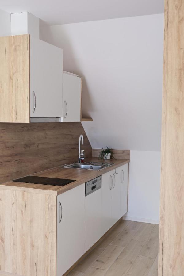 לדניצה Apartmanovy Dum Na Kolonade מראה חיצוני תמונה